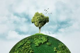 Enviroment and Climate Resilience 