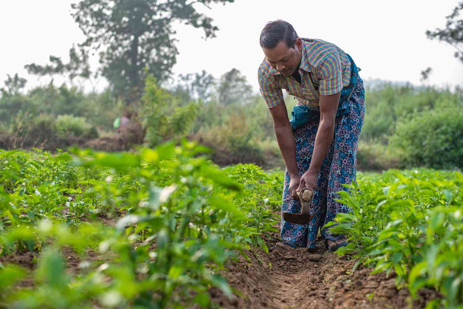 Male Livelihood Development